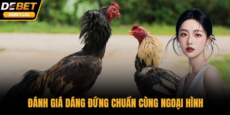 Đánh giá dáng đứng chuẩn cùng ngoại hình